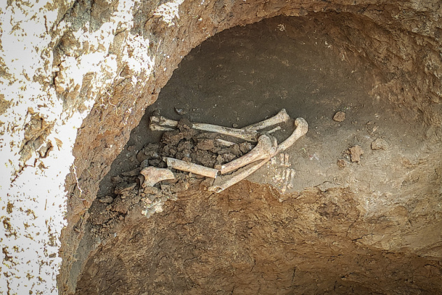 Автор: Наталья Давыдова