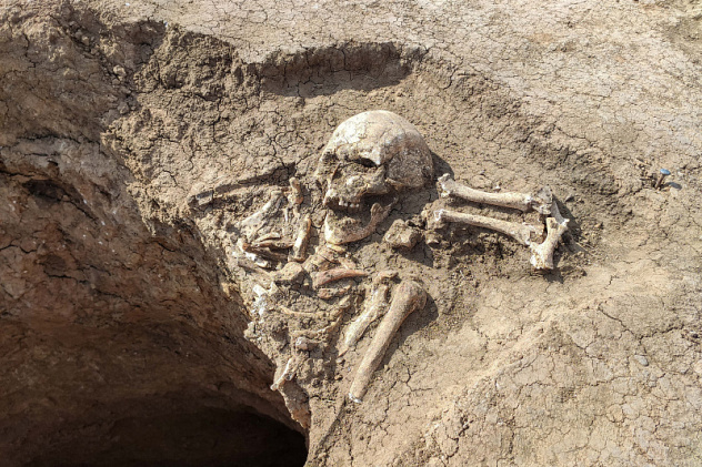 Автор: Наталья Давыдова