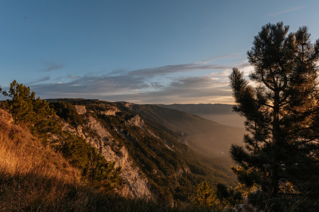 Ксения Гасица Ксения Гасица