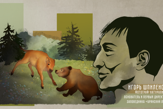 Александра Лебедева Александра Лебедева