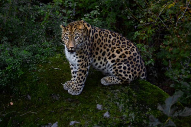 Евгений Мазурин, участник фотоконкурса РГО "Самая красивая страна" Евгений Мазурин, участник фотоконкурса РГО "Самая красивая страна"