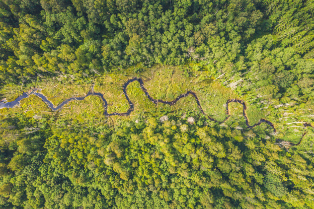 Приток Двины Приток Двины