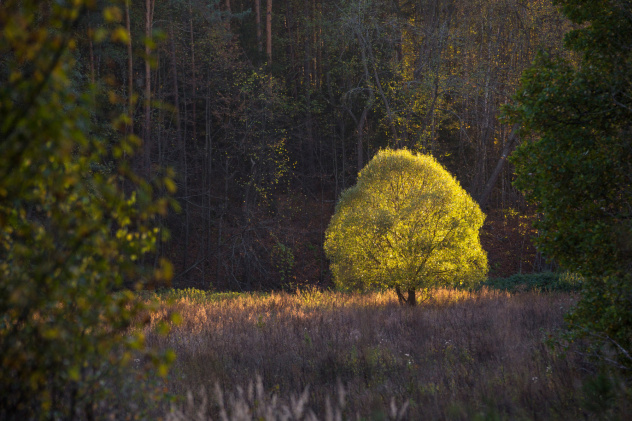 Сергей Зорин, участник фотоконкурса РГО "Самая красивая страна"