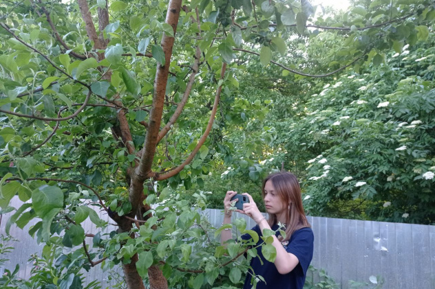 Наблюдение