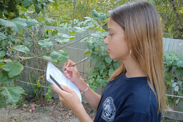 Фенолог проводит исследование