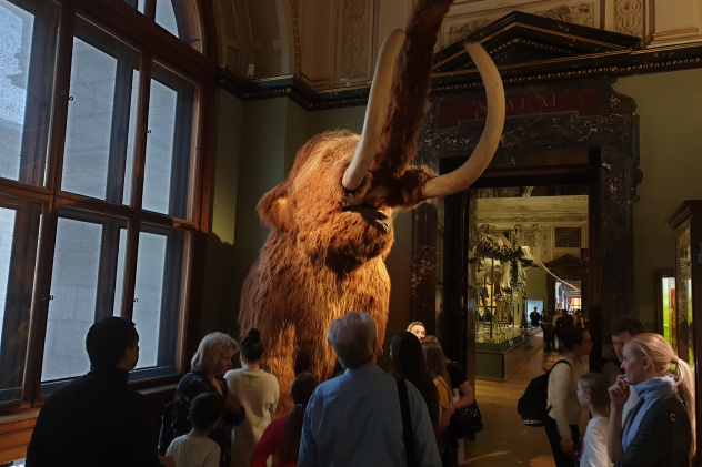 Австрия Австрия