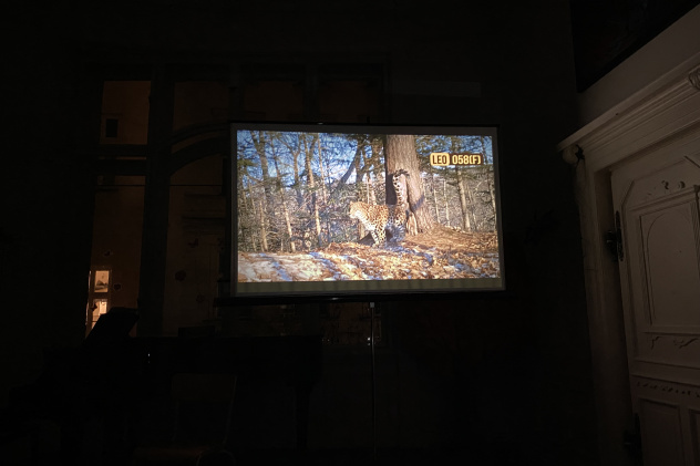 МК РГО "Австрия" МК РГО "Австрия"