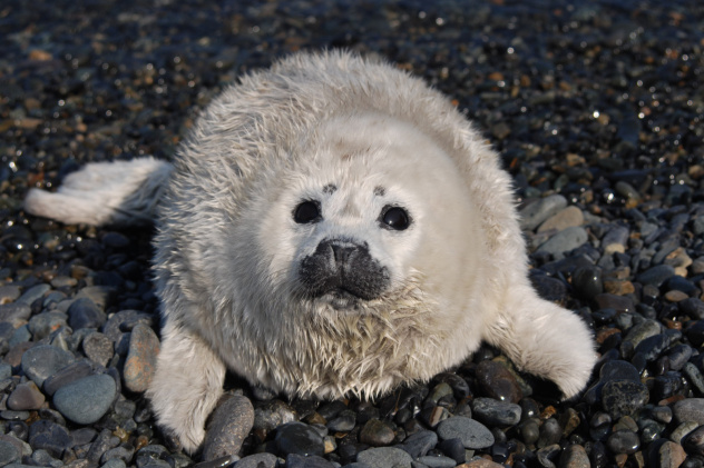 Конкурс Конкурс