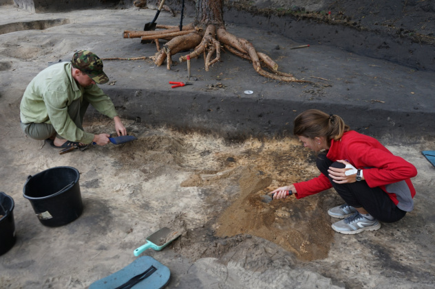 Предоставлено Окской археологической экспедицией Предоставлено Окской археологической экспедицией