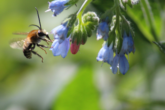 Юлия Святова, участница фотоконкурса РГО "Самая красивая страна"