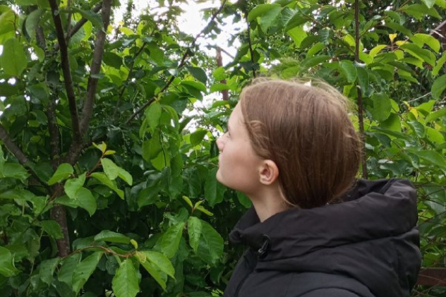 Наблюдения