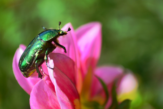 Ольга Акимова Ольга Акимова