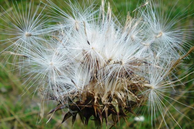 Марина Кузина Марина Кузина