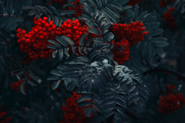 Юлия Лушникова, участница фотоконкурса РГО "Самая красивая страна"