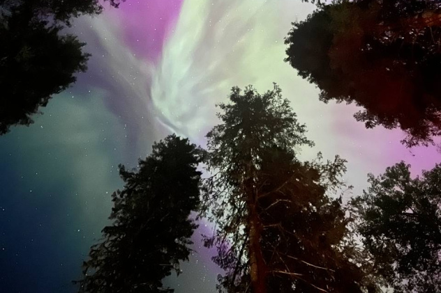 Салман Джумагазиев Салман Джумагазиев