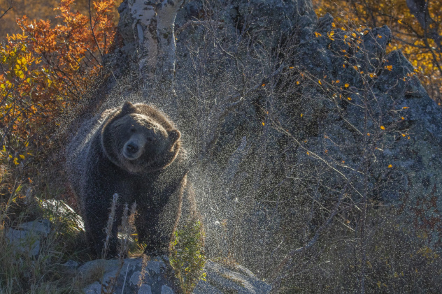 Вадим Елистратов, участник фотоконкурса РГО "Самая красивая страна"