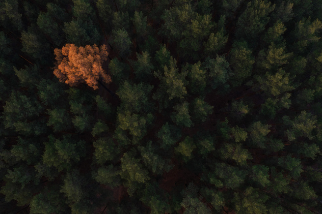 Сергей Гарифуллин, участник фотоконкурса РГО "Самая красивая страна" Сергей Гарифуллин, участник фотоконкурса РГО "Самая красивая страна"