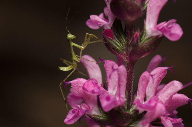 Анжелика Тараненко, участница фотоконкурса РГО "Самая красивая страна" Анжелика Тараненко, участница фотоконкурса РГО "Самая красивая страна"