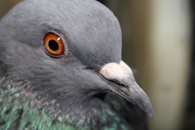 Екатерина Сайлер, участница фотоконкурса РГО "Самая красивая страна" Екатерина Сайлер, участница фотоконкурса РГО "Самая красивая страна"