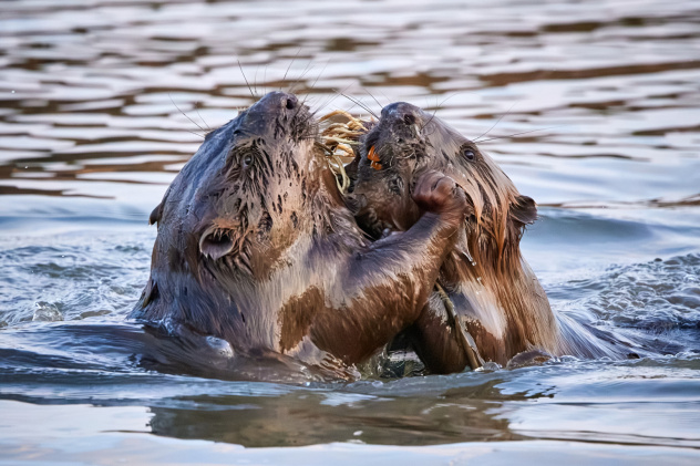 Николай Наумов, участник фотоконкурса РГО "Самая красивая страна"
