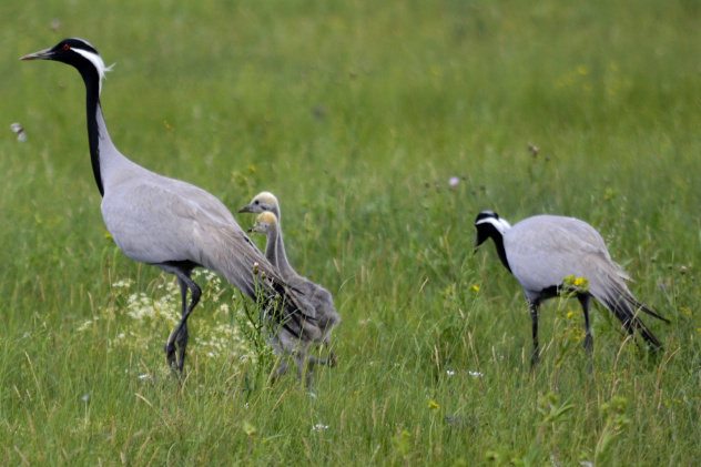 Владимир Рыбин, участник фотоконкурса РГО "Самая красивая страна" Владимир Рыбин, участник фотоконкурса РГО "Самая красивая страна"