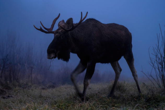 Ирина Соловьева, участница фотоконкурса РГО "Самая красивая страна" Ирина Соловьева, участница фотоконкурса РГО "Самая красивая страна"