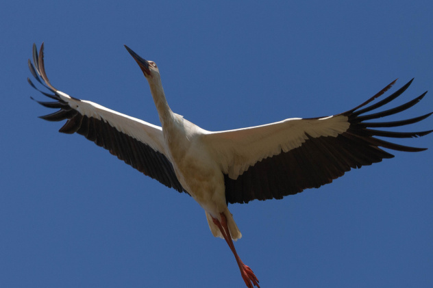 Павел Петрушин, участник фотоконкурса РГО "Самая красивая страна" Павел Петрушин, участник фотоконкурса РГО "Самая красивая страна"