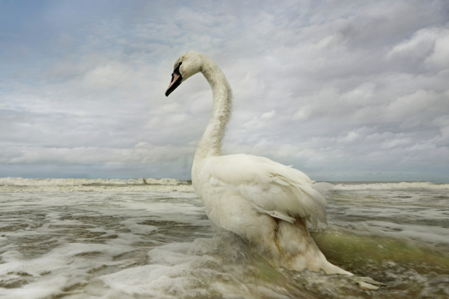 Сергей Тырышкин, участник фотоконкурса РГО "Самая красивая страна"