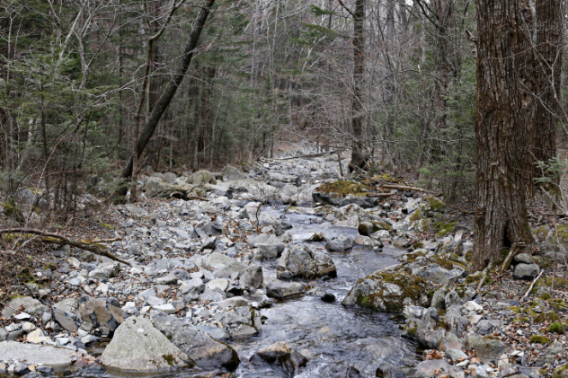 Евгения Новосельцева, участник фотоконкурса РГО "Самая красивая страна" Евгения Новосельцева, участник фотоконкурса РГО "Самая красивая страна"