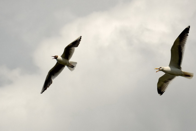 Владимир Бутаков, участник фотоконкурса РГО "Самая красивая страна" Владимир Бутаков, участник фотоконкурса РГО "Самая красивая страна"
