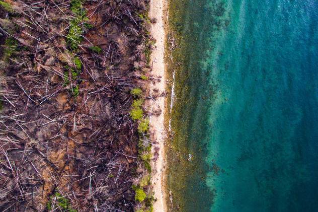 Экология Экология