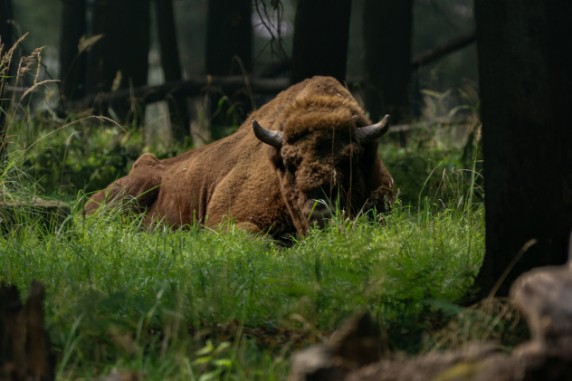 А. Егорова, участница фотоконкурса РГО "Самая красивая страна"