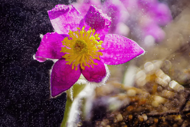 Михаил Корнев, участник фотоконкурса РГО "Самая красивая страна" Михаил Корнев, участник фотоконкурса РГО "Самая красивая страна"