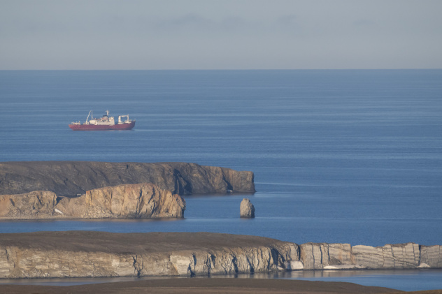 Виталий Новиков