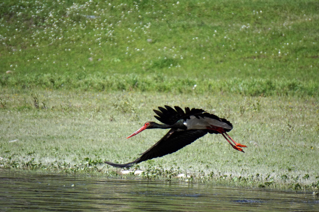 Владимир Надеждин, участник фотоконкурса РГО "Самая красивая страна" Владимир Надеждин, участник фотоконкурса РГО "Самая красивая страна"