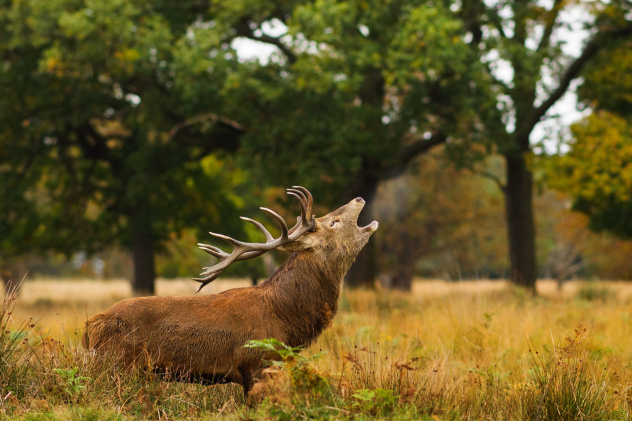 Сергей Коляскин, участник фотоконкурса РГО "Самая красивая страна"