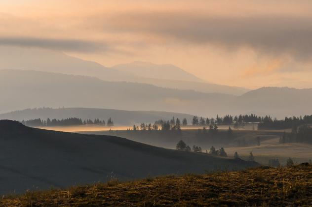 Курай на рассвете