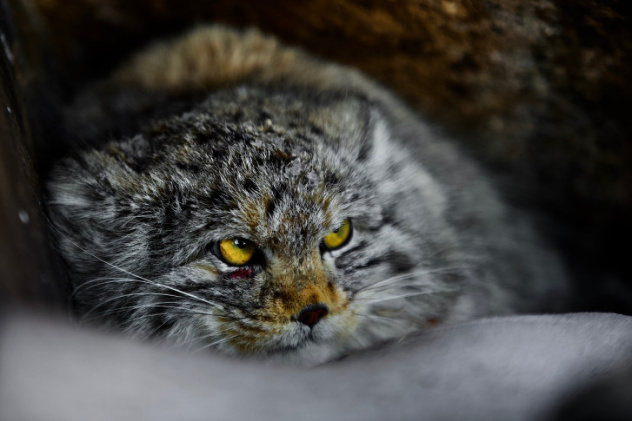Евгений Мазурин, участник фотоконкурса РГО "Самая красивая страна" Евгений Мазурин, участник фотоконкурса РГО "Самая красивая страна"