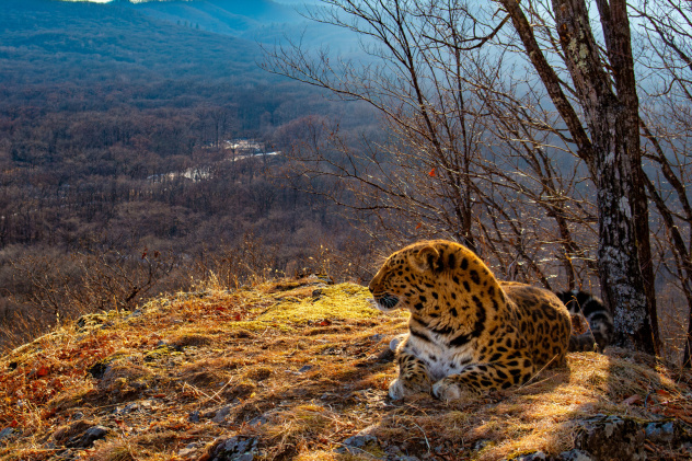 Юрий Смитюк 