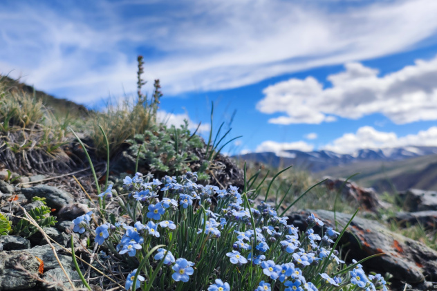 Андрей Булгаков, участник фотоконкурса РГО "Самая красивая страна" Андрей Булгаков, участник фотоконкурса РГО "Самая красивая страна"