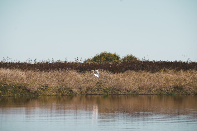 Дмитрий Забуга Дмитрий Забуга