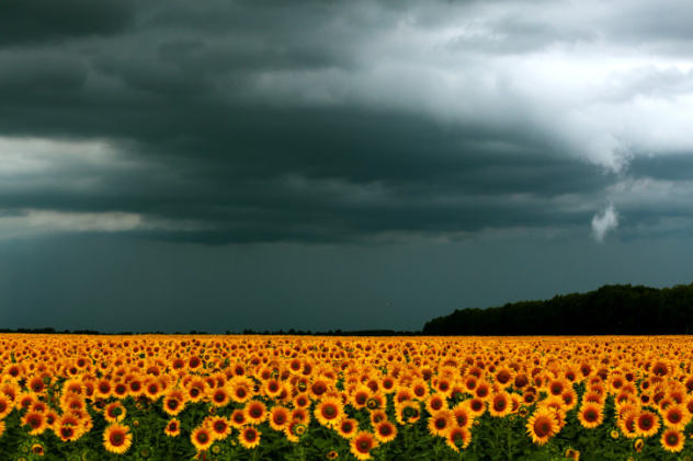 Александр Масенко, участник фотоконкурса РГО "Самая красивая страна" Александр Масенко, участник фотоконкурса РГО "Самая красивая страна"