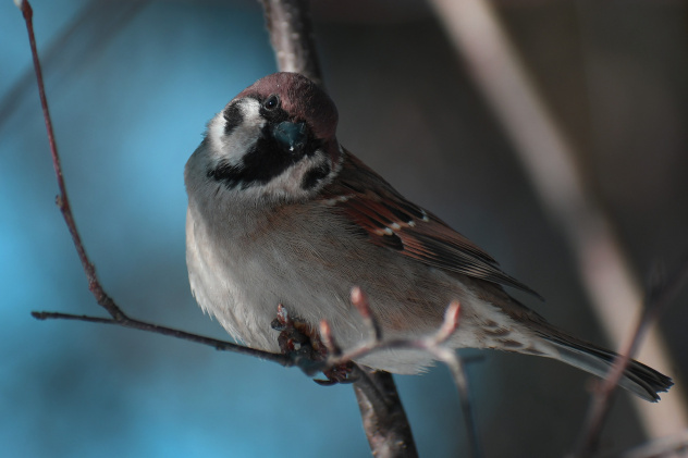 Виктория Калинина, участница фотоконкурса РГО "Самая красивая страна" Виктория Калинина, участница фотоконкурса РГО "Самая красивая страна"