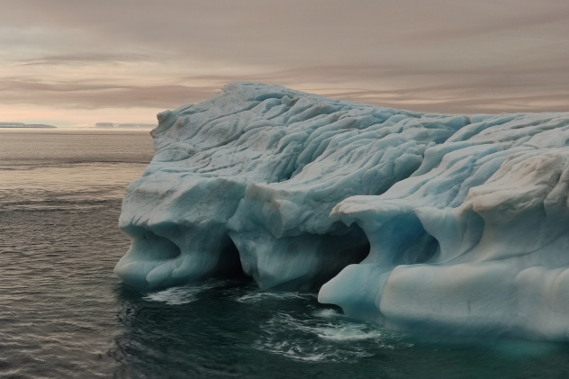 Арктика Арктика