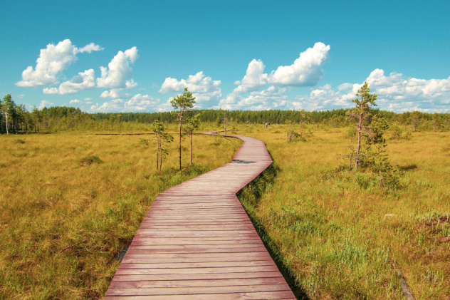 Ольга Мелещенко Ольга Мелещенко