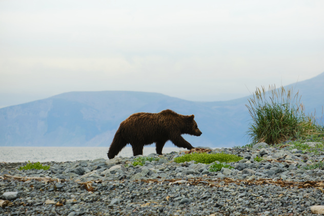 Дмитрий Ханхаев