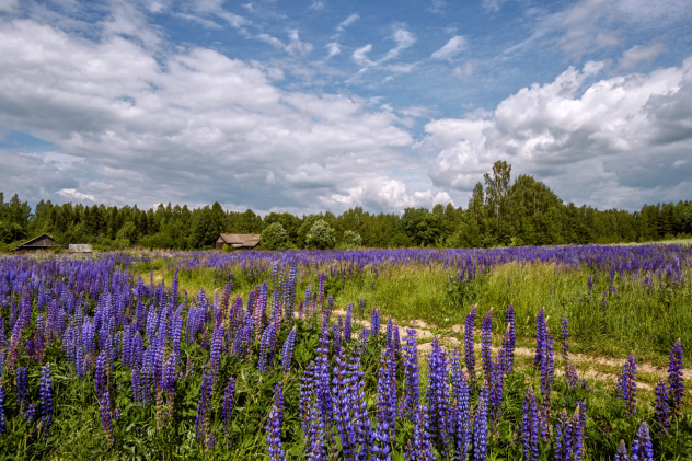 Жанна Молотилова, участница фотоконкурса РГО "Самая красивая страна"