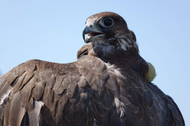 Ульяна Потылицына