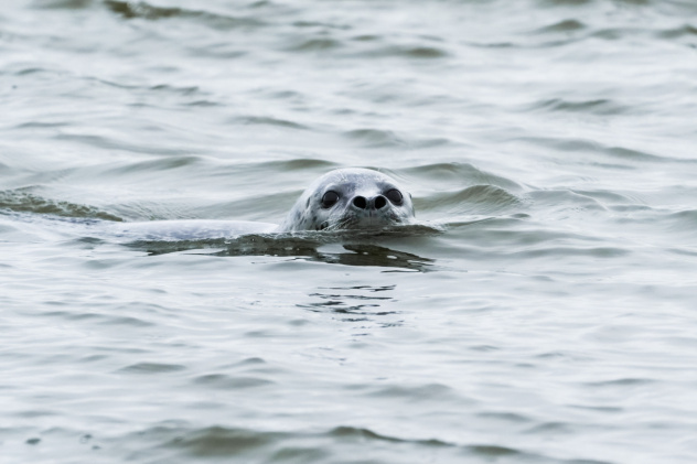 Иван Ветров, участник фотоконкурса РГО "Самая красивая страна"
