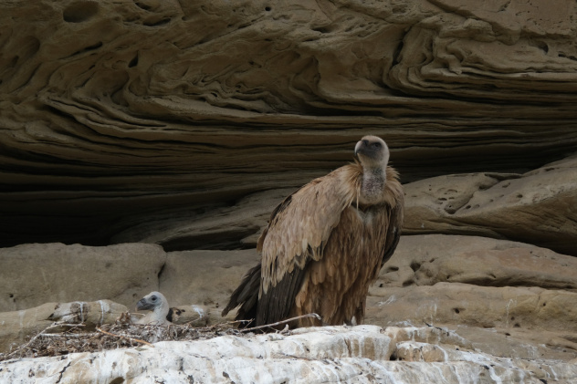 Виктор Конев, участник фотоконкурса РГО "Самая красивая страна"